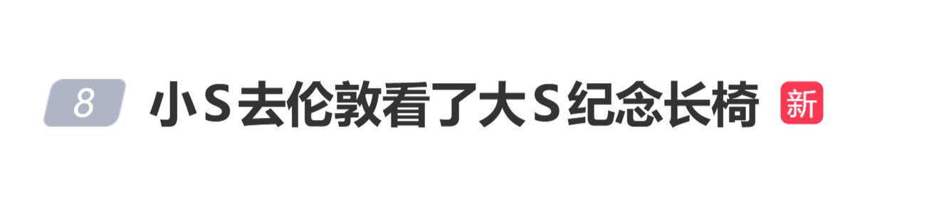 小S去伦敦看大S纪念长椅，公园在施工重新规划没看到长椅