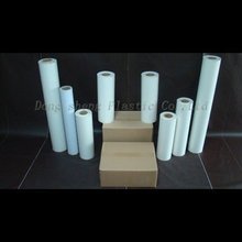 恶魔的开瓶器!一种螺旋状化石曾困扰科学家85年:竟是河狸搞的
