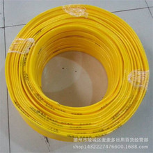 淡滨尼流浪者主帅纳西尔:上海申花是一支非常出色的球队