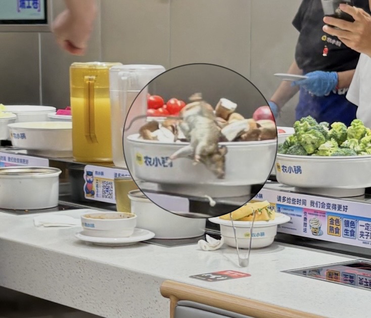 上海一火锅店“天降”老鼠掉入菜盘 餐厅所在商场:要求所有商户定时消杀