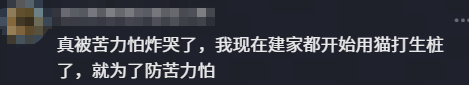 曲棍球打多久