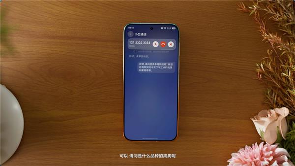 曲棍球号码意义