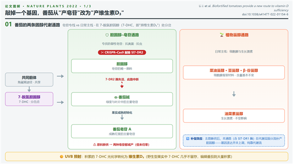 运营约9年！苹果总部ApplePark游客中心撤下AR展区：改为零售空间